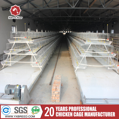 Automatic System Chicken Raising Equipment H Type Laying Hens Poultry Chicken Cage For Layers