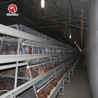 3 Tiers 4 Tiers Layer Chicken Battery Cage In Poultry Farm A Type