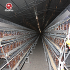 A Type Layer Chicken Battery Cages Hot Galvanized Wire Mesh
