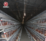A Type Layer Battery Cage System In Poultry Farm With Big Capacity