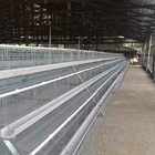 A Type 10000 Layers New Design Layer Hen Cage