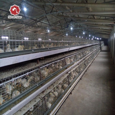 A-Type Q235 Steel Baby Chicken Cage With Hot Galvanized Wire Mesh