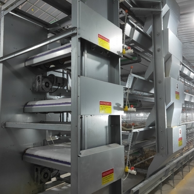 A specialized layer battery cage for poultry farms, housing chickens for laying hen operations.