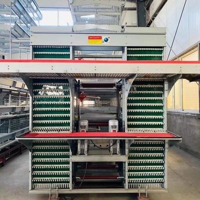 A specialized layer battery cage for poultry farms, housing chickens for laying hen operations.