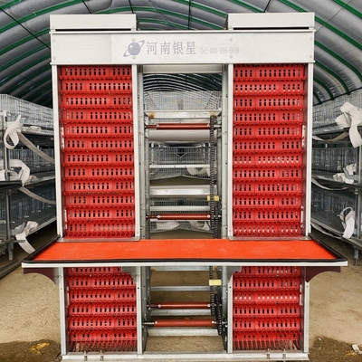 Galvanized Battery Cage System For Egg-laying Hens