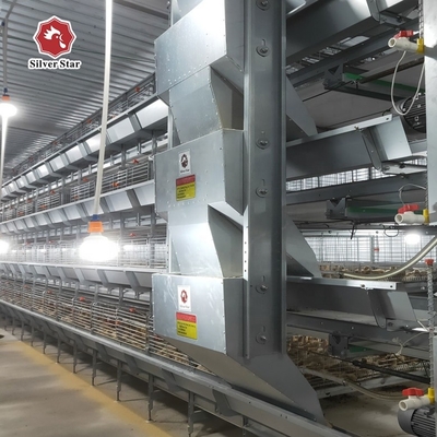H Type Chick Cages For Automatic Poultry Broiler Chicken Housing