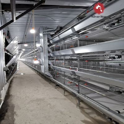 Automated H-Type Meat Broiler Cage System - Hot-Dip Galvanized High-Density Commercial Poultry Farming Equipment