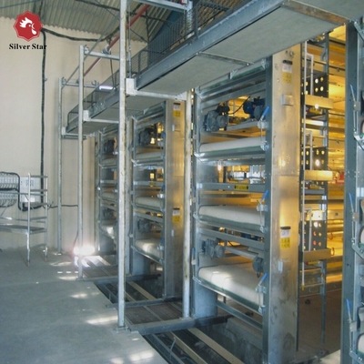 H Type Chick Cages For Automatic Poultry Broiler Chicken Housing