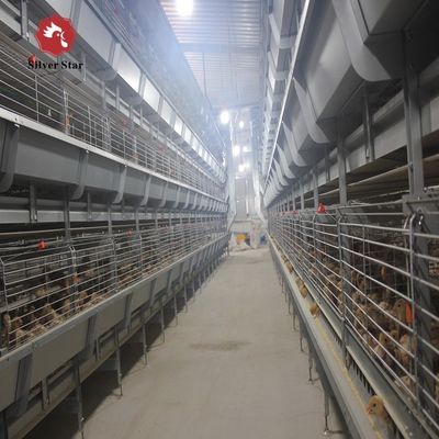 4Tiers Broiler Chicken Cages Battery Cage for 4Tiers Baby Chick Cage Poultry Farming Equipment Automatic System