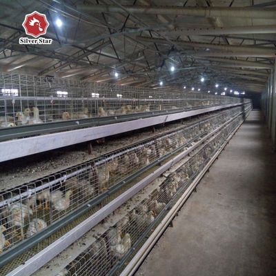 A-Type Q235 Steel Baby Chicken Cage With Hot Galvanized Wire Mesh
