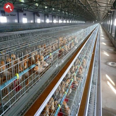 Automated H-Type Broiler Cage System - Full Automatic Hot Galvanized High-Density Poultry Farming Equipment