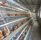4 Tier Battery Broiler Chicken Cage A Type In Philippines Automatic