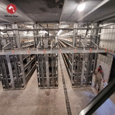 Poultry Farm Equipment Chicken Broiler House Design Broiler Chicken Cage System Broiler Farm Chicken Coop