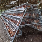 Layer Chicken Egg Cage Battery Cages For Farm 3 Tiers 4 Tiers