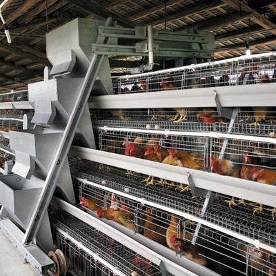 Battery Cages For Laying Hens In The Poultry Farm House Constructed With Hot-dip Galvanized Steel.