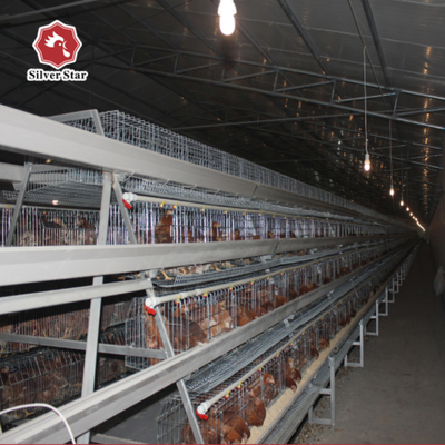 Battery Cages For Laying Hens In The Poultry Farm House Constructed With Hot-dip Galvanized Steel.