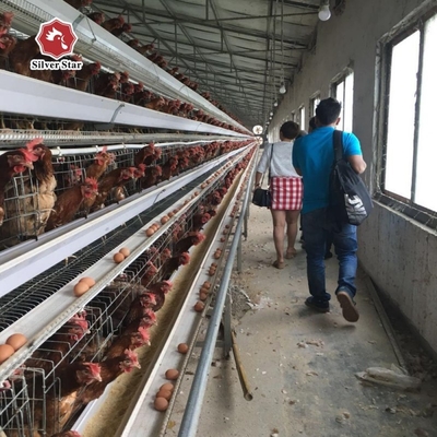 2024 Galvanized A-Type Laying Hens H-Type Battery Cage And Automatic Breeding System