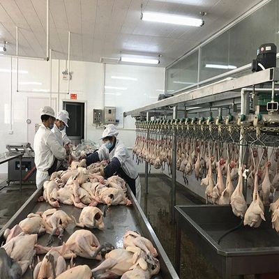Hot-Dip Galvanized Battery Chicken Cage Fully Automated IoT-Controlled with Medical-Grade Disease Prevention for Poultry Farming Equipment