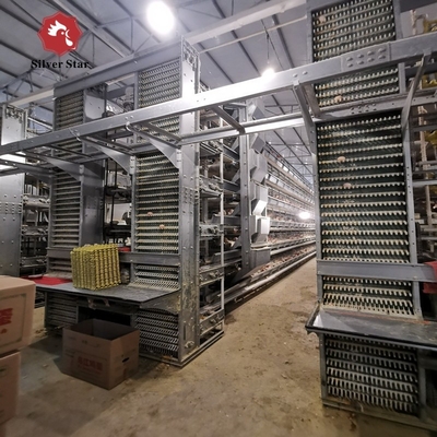 Hot Galvanized A Type H Type 3/4tier Chicken Cage Layer Poultry for Farming Equipment