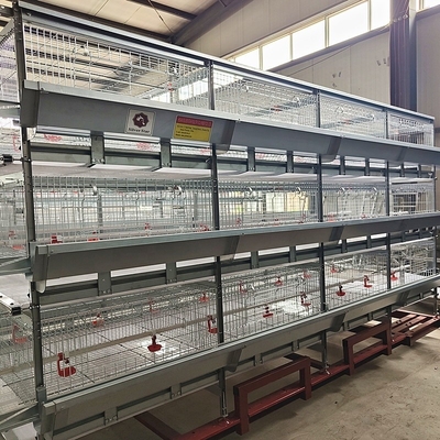 Poultry Farm Equipment Chicken Broiler House Design Broiler Chicken Cage System Broiler Farm Chicken Coop