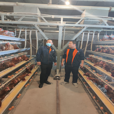 2024 Galvanized A-Type Laying Hens H-Type Battery Cage And Automatic Breeding System