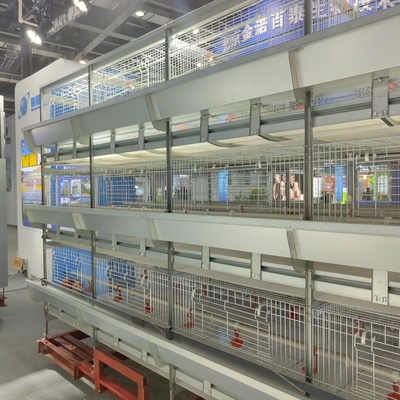A-Type Q235 Steel Baby Chicken Cage With Hot Galvanized Wire Mesh