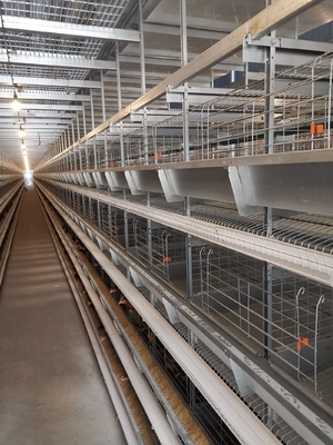 1950×2300×1500 Automatic A Type H Type Poultry Farming Chicken Cage For Layer Equipment