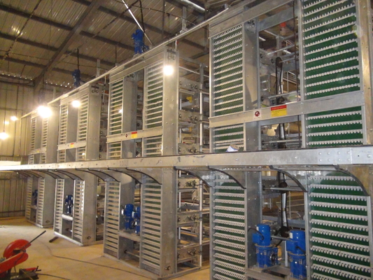 Hot Galvanized Automatic H Type Chicken Brooder Layer Cage Broiler Poultry Cage Raising Poultry Farm