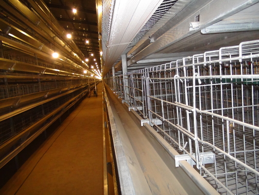 Hot Galvanized Automatic H Type Chicken Brooder Layer Cage Broiler Poultry Cage Raising Poultry Farm
