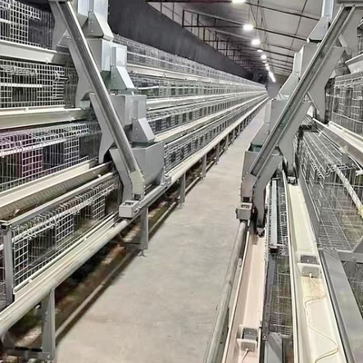 Poultry Battery Cage Chicken Raising Equipment H Type Laying Hens Poultry Chicken Cage For Layers