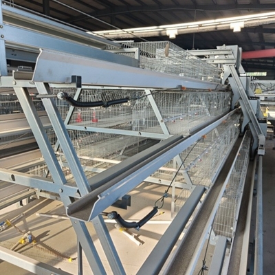 Automatic System Chicken Raising Equipment H Type Laying Hens Poultry Chicken Cage For Layers