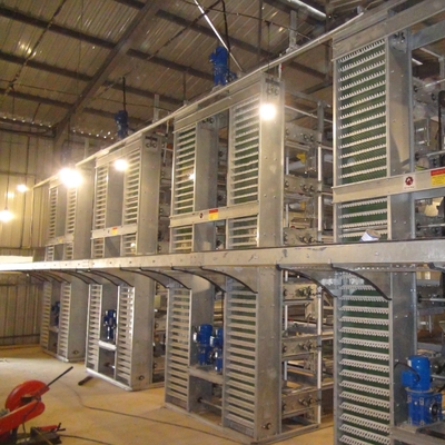 Automatic Egg Laying Chicken Cages Hot Galvanized With Battery Cage Farming Equipment And Egg Collection Disinfection