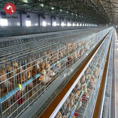 Automated H-Type Broiler Cage System with Hot-Dip Galvanizing for High-Density Farming & Automatic Manure Cleaning