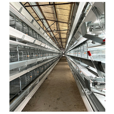 Hot Galvanized Automatic H Type Chicken Brooder Layer Cage Broiler Poultry Cage Raising Poultry Farm