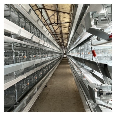 H Type 3-tier / 4-tier Hot Dip Galvanized Automatic Layer Chicken Cage In Poultry Farm Equipment