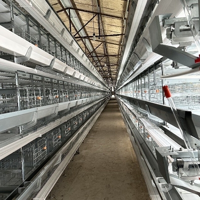 Automatic H Type Chicken Layer Cage Battery For Chicken Layer Farming System Egg Collection System