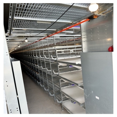 Automatic H Type Chicken Layer Cage Battery For Chicken Layer Farming System Egg Collection System