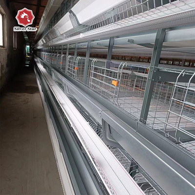 Automated Poultry Equipment 4-8 Tier Hot-Dip Galvanized Egg Collecting Cage