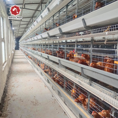 Automated Poultry Equipment 4-8 Tier Hot-Dip Galvanized Egg Collecting Cage