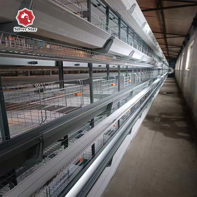 Automated Poultry Equipment 4-8 Tier Hot-Dip Galvanized Egg Collecting Cage
