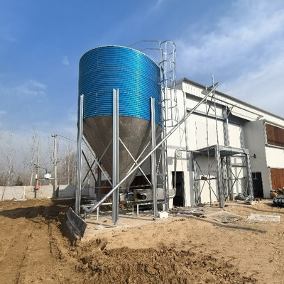 Automated Poultry Equipment 4-8 Tier Hot-Dip Galvanized Egg Collecting Cage