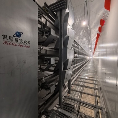 Automated Poultry Equipment 4-8 Tier Hot-Dip Galvanized Egg Collecting Cage
