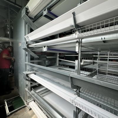 Increase Egg Production with Our Layer Cage System Battery Cage for Layer Chickens