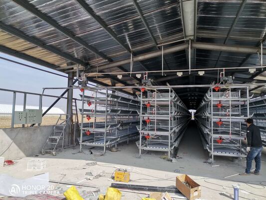 H Type Layer Chicken Cage with 20 Years Service Life for 54-216 Hens in 3-8 Tiers