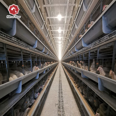 Automatic H-Type Battery Broiler Cage | High-Density Commercial Poultry Farm Feeding Equipment