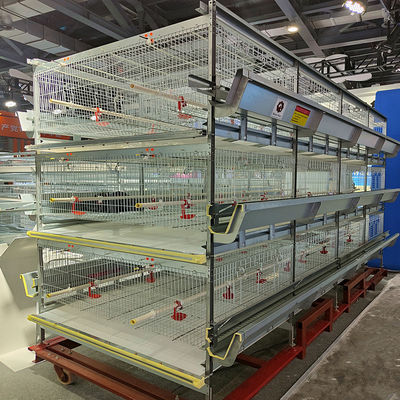 Automated H-Type Broiler Cage System Hot Dip Galvanized High Density Full Automatic Poultry Farming Equipment