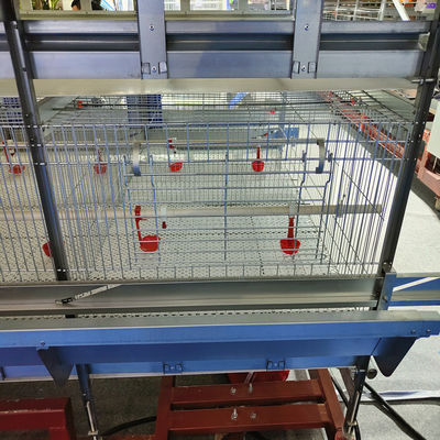 Automated H-Type Broiler Cage System Hot Dip Galvanized High Density Full Automatic Poultry Farming Equipment