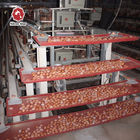 Commercial 5000pcs/Layer Zn Al Steel Poultry Egg Collection System 100mm Width