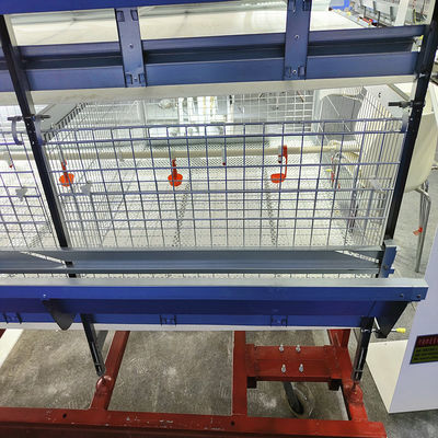 Automated H-Type Broiler Cage System Hot Dip Galvanized High Density Full Automatic Poultry Farming Equipment