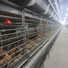 Q235 Poultry Farming Cage